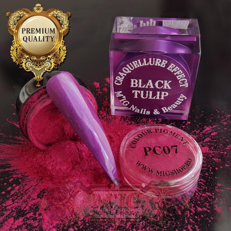 Pigment PC - MIGSHOP.RO