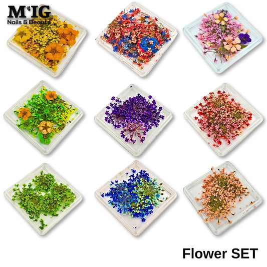 Flori uscate naturale