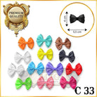 Accesorii Catalog C33 - MIGSHOP.RO