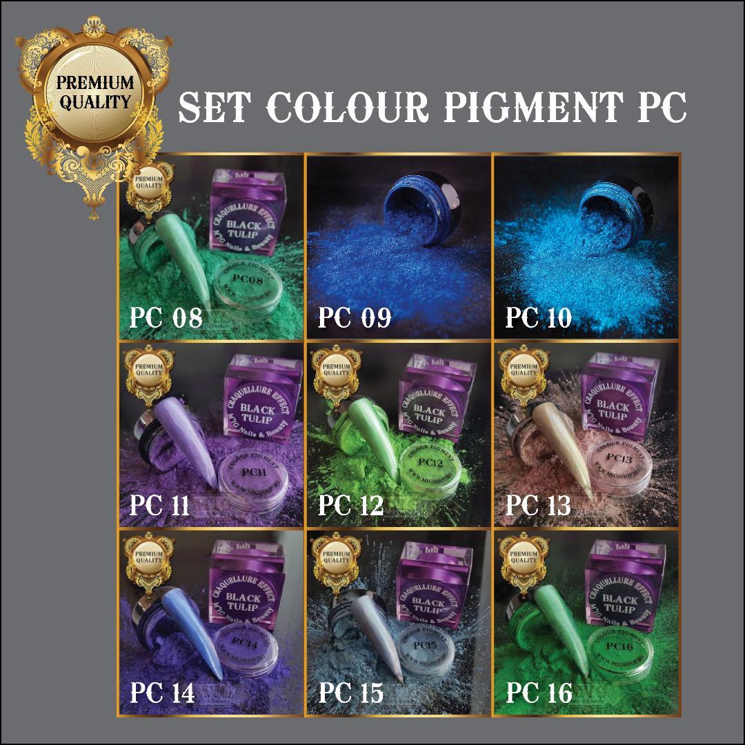 Set pigment PC - MIGSHOP.RO
